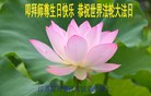 Published on 5/13/2013 ֹ,½󷨵ӹʦ𻪵߷ִ(31)
