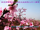 Published on 5/13/2013 ֹ,½󷨵ӹʦ𻪵߷ִ(32)

