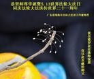 Published on 5/13/2013 ֹ,½󷨵ӹʦ𻪵߷ִ(31)
