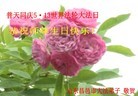 Published on 5/13/2013 ֹ,½󷨵ӹʦ𻪵߷ִ(32)
