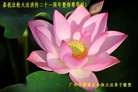 Published on 5/13/2013 ֹ,½󷨵ӹʦ𻪵߷ִ(32)
