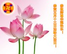Published on 5/13/2013 ֹ,½󷨵ӹʦ𻪵߷ִ(30)
