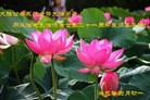 Published on 5/13/2013 ֹ,ϵͳ󷨵ӹʦ𻪵߷ִ
