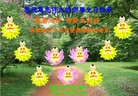 Published on 5/13/2013 ֹ,½󷨵ӹʦ𻪵߷ִ(33)
