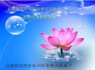 Published on 5/13/2013 ֹ,½󷨵ӹʦ𻪵߷ִ(31)
