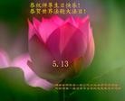 Published on 5/13/2013 ֹ,½󷨵ӹʦ𻪵߷ִ(31)
