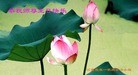 Published on 5/13/2013 ֹ,󷨵ӹʦ𻪵߷ִ(27)
