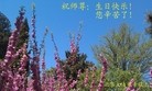Published on 5/13/2013 ֹ,½󷨵ӹʦ𻪵߷ִ(37)
