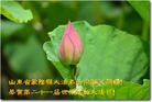 Published on 5/13/2013 ֹ,ʴ󷨵ӹʦ𻪵߷ִ(20)
