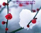 Published on 5/13/2013 ֹ,żҿڴ󷨵ӹʦ𻪵߷ִ(25)
