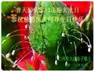 Published on 5/13/2013 ֹ,󷨵ӹʦ𻪵߷ִ(25)
