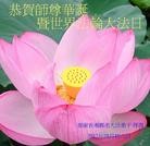 Published on 5/13/2013 ֹ,½󷨵ӹʦ𻪵߷ִ(31)
