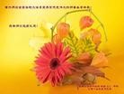 Published on 5/13/2013 ֹ,½󷨵ӹʦ𻪵߷ִ(31)
