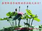Published on 5/13/2013 ֹ,½󷨵ӹʦ𻪵߷ִ(33)
