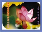 Published on 5/13/2013 ֹ,󷨵ӹʦ𻪵߷ִ(25)
