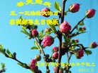 Published on 5/13/2013 ֹ,½󷨵ӹʦ𻪵߷ִ(31)
