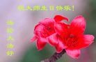 Published on 5/14/2013 ֹ,˹ףʦտ(59)

