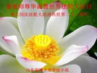 Published on 5/13/2013 ֹ,½󷨵ӹʦ𻪵߷ִ(34)
