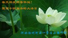 Published on 5/13/2013 ֹ,½󷨵ӹʦ𻪵߷ִ(34)
