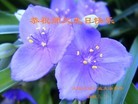 Published on 5/13/2013 ֹ,½󷨵ӹʦ𻪵߷ִ(31)
