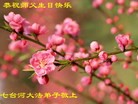 Published on 5/13/2013 ֹ,½󷨵ӹʦ𻪵߷ִ(31)
