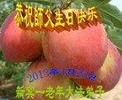 Published on 5/13/2013 ֹ,½󷨵ӹʦ𻪵߷ִ(34)
