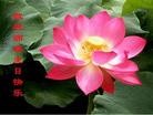 Published on 5/13/2013 ֹ,½󷨵ӹʦ𻪵߷ִ(34)

