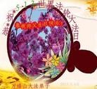 Published on 5/13/2013 ֹ,½󷨵ӹʦ𻪵߷ִ(31)
