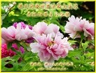 Published on 5/13/2013 ֹ,½󷨵ӹʦ𻪵߷ִ(31)
