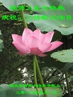 Published on 5/13/2013 ֹ,½󷨵ӹʦ𻪵߷ִ(31)
