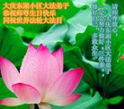 Published on 5/13/2013 ֹ,½󷨵ӹʦ𻪵߷ִ(31)
