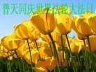 Published on 5/13/2013 ֹ,½󷨵ӹʦ𻪵߷ִ(31)
