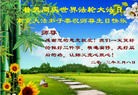 Published on 5/13/2013 ֹ,½󷨵ӹʦ𻪵߷ִ(31)

