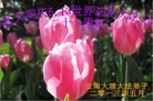 Published on 5/13/2013 ֹ,½󷨵ӹʦ𻪵߷ִ(39)

