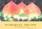 Published on 5/13/2013 ֹ,󷨵ӹʦ𻪵߷ִ(27)
