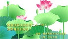 Published on 5/13/2013 ֹ,½󷨵ӹʦ𻪵߷ִ(39)

