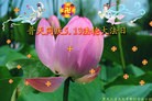 Published on 5/13/2013 ֹ,½󷨵ӹʦ𻪵߷ִ(33)

