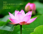 Published on 5/13/2013 ֹ,½󷨵ӹʦ𻪵߷ִ(30)
