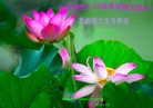Published on 5/13/2013 ֹ,½󷨵ӹʦ𻪵߷ִ(30)
