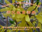 Published on 5/13/2013 ֹ,½󷨵ӹʦ𻪵߷ִ(30)
