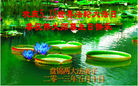 Published on 5/13/2013 ֹ,½󷨵ӹʦ𻪵߷ִ(31)
