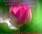 Published on 5/13/2013 ֹ,½󷨵ӹʦ𻪵߷ִ(31)
