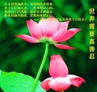 Published on 5/13/2013 ֹ,½󷨵ӹʦ𻪵߷ִ(31)
