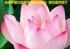 Published on 5/13/2013 ֹ,½󷨵ӹʦ𻪵߷ִ(31)
