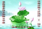 Published on 5/13/2013 ֹ,½󷨵ӹʦ𻪵߷ִ(31)
