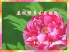 Published on 5/13/2013 ֹ,½󷨵ӹʦ𻪵߷ִ(31)
