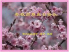 Published on 5/13/2013 ֹ,½󷨵ӹʦ𻪵߷ִ(31)

