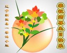 Published on 5/13/2013 ֹ,½󷨵ӹʦ𻪵߷ִ(31)
