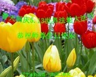 Published on 5/13/2013 ֹ,½󷨵ӹʦ𻪵߷ִ(31)
