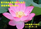 Published on 5/13/2013 ֹ,½󷨵ӹʦ𻪵߷ִ(31)
